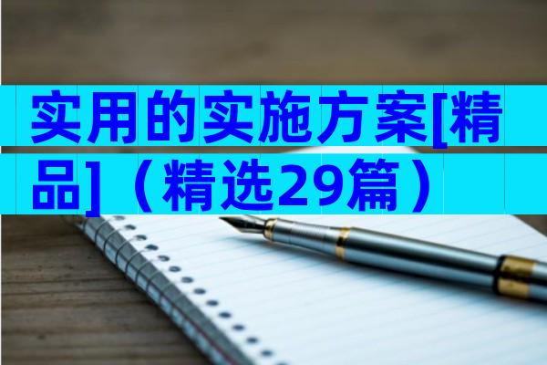 实用的实施方案[精品]（精选29篇）